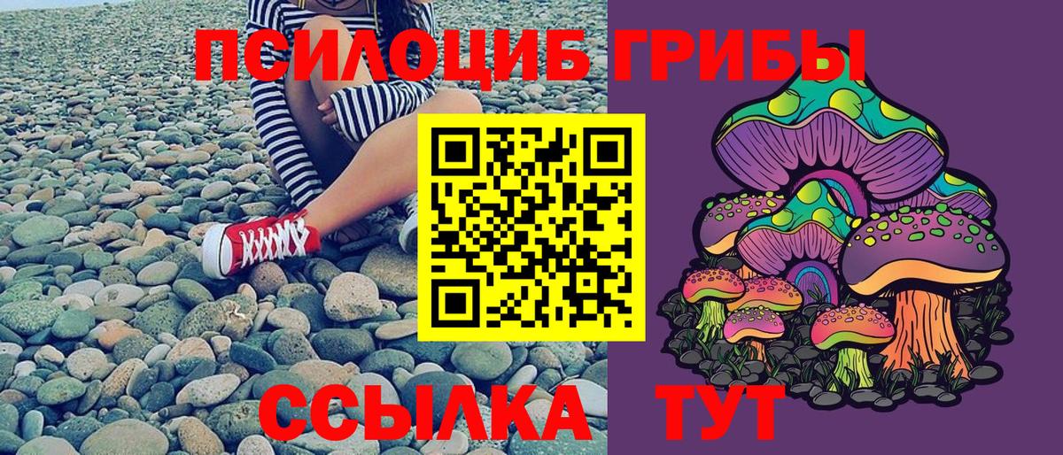 Псилоцибиновые грибы Psilocybine cubensis Белгород